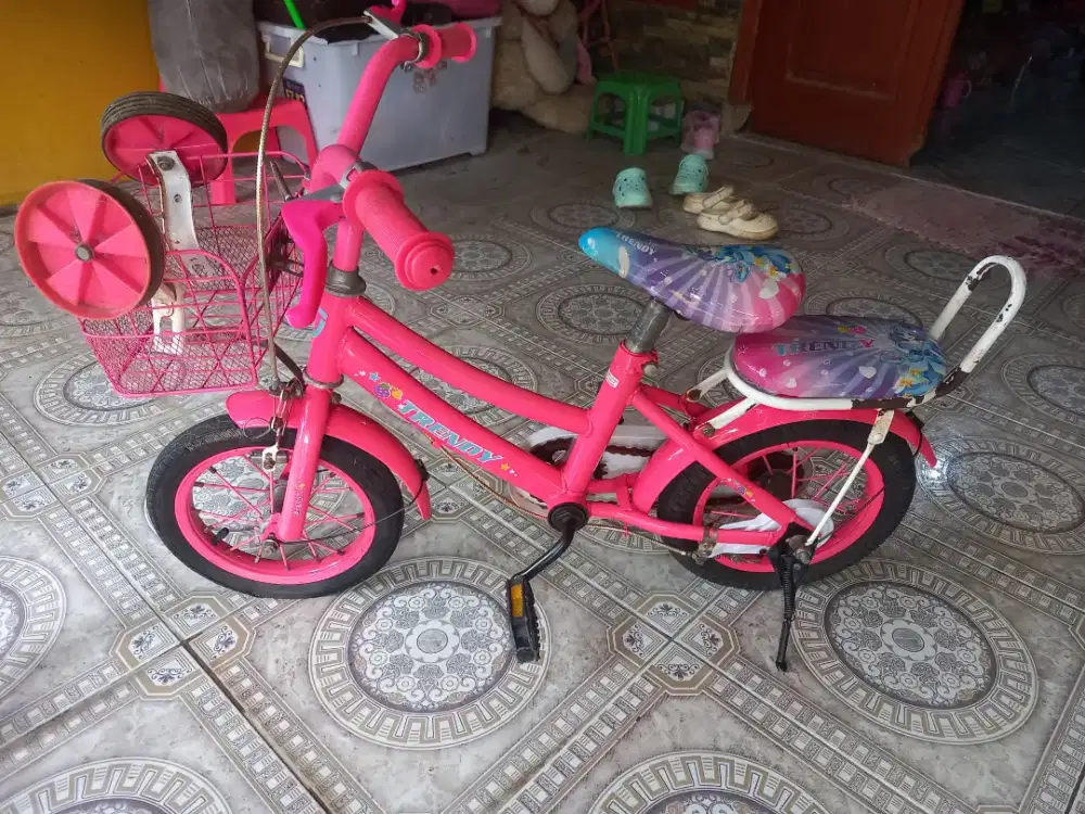 Sepeda Trendy dan Exotic