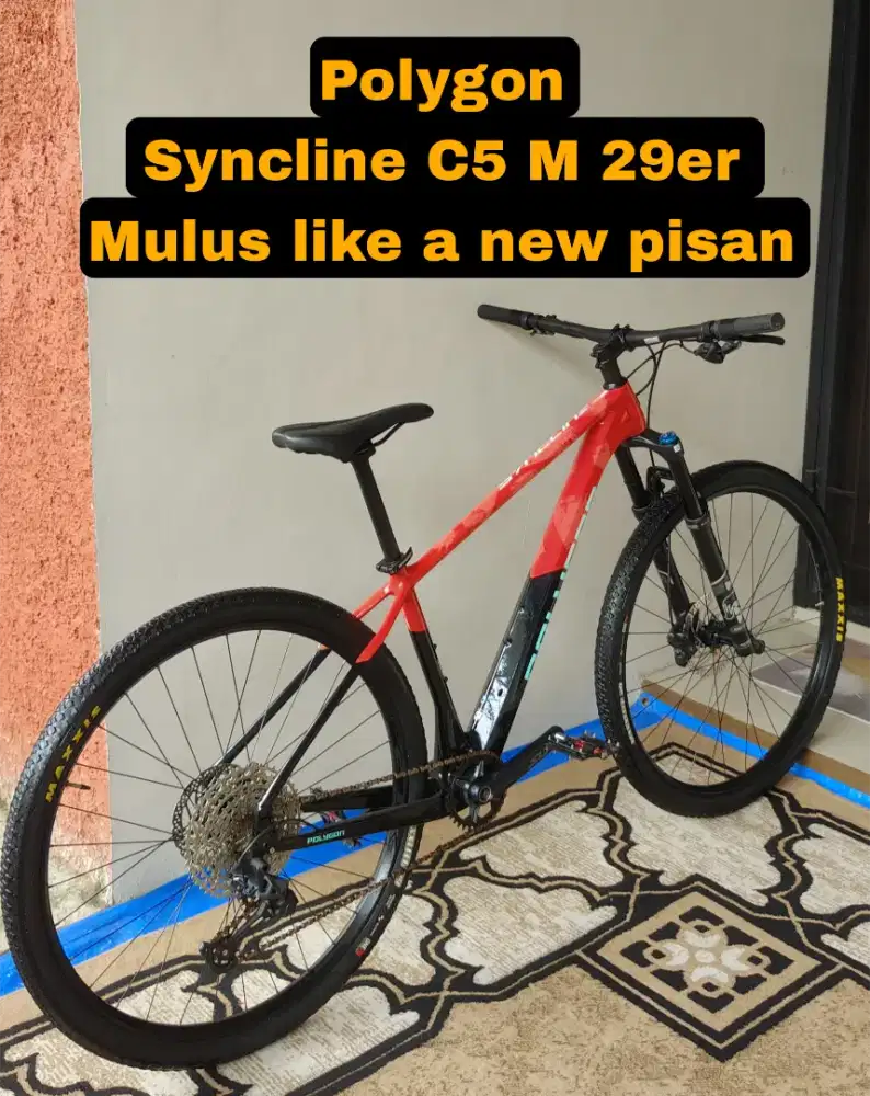Polygon Syncline C5 mulus like a new