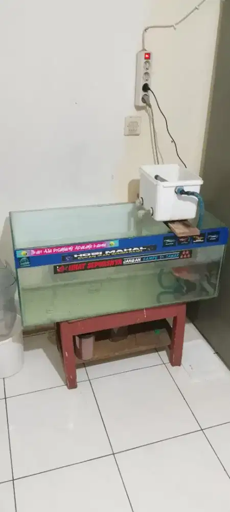 JUAL IKAN SATU METER LEBIH PLUS LOUHAN JENONG