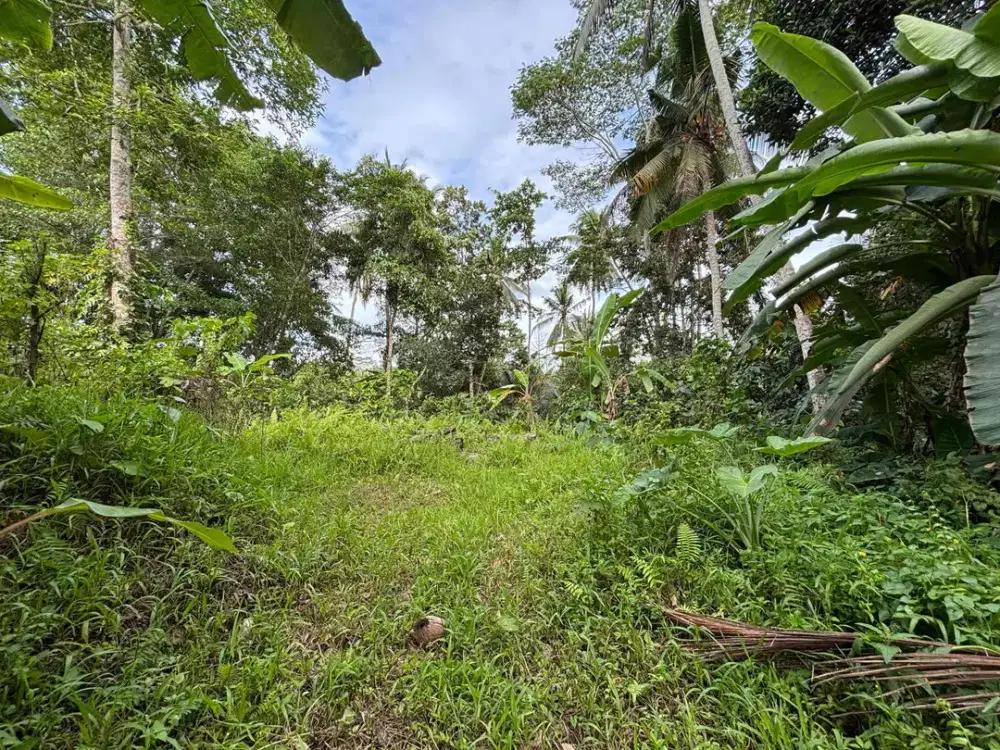 Dijual tanah terletak di pejeng jalur dekat ke ubud