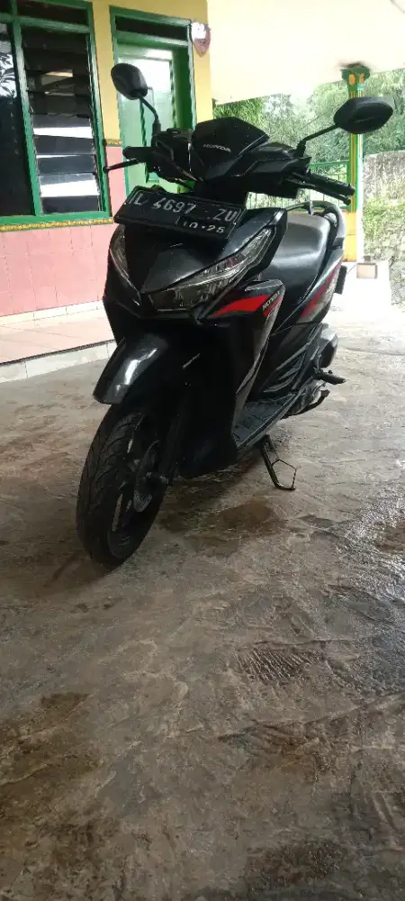 Vario 2015 plat L