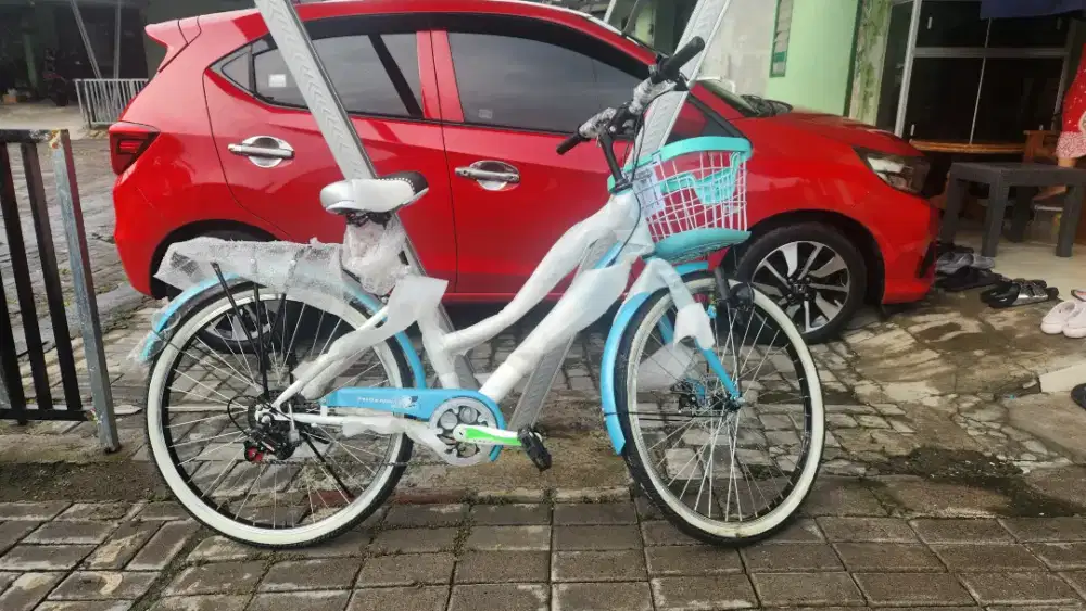 Sepeda Keranjang Phoenix Star