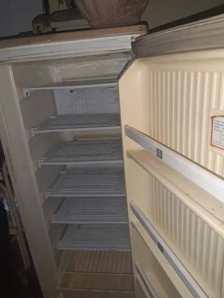 Frezzer tidur dan berdiri