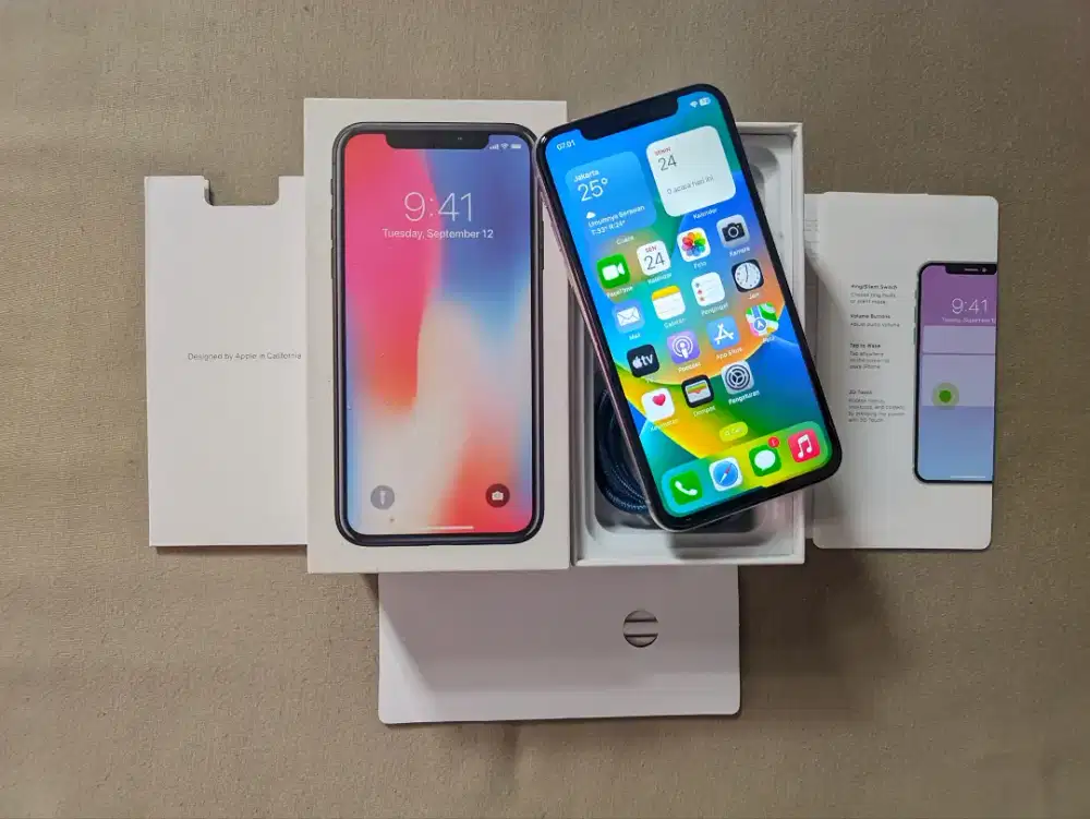 iPhone X 256gb inter