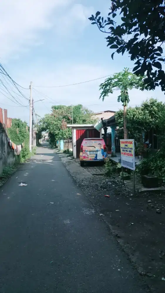 Jual Tahan di Medan kota