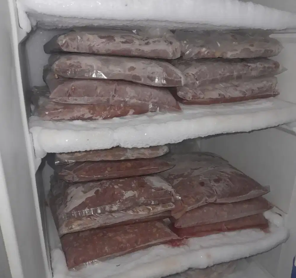 Daging giling/fillet ayam afkir