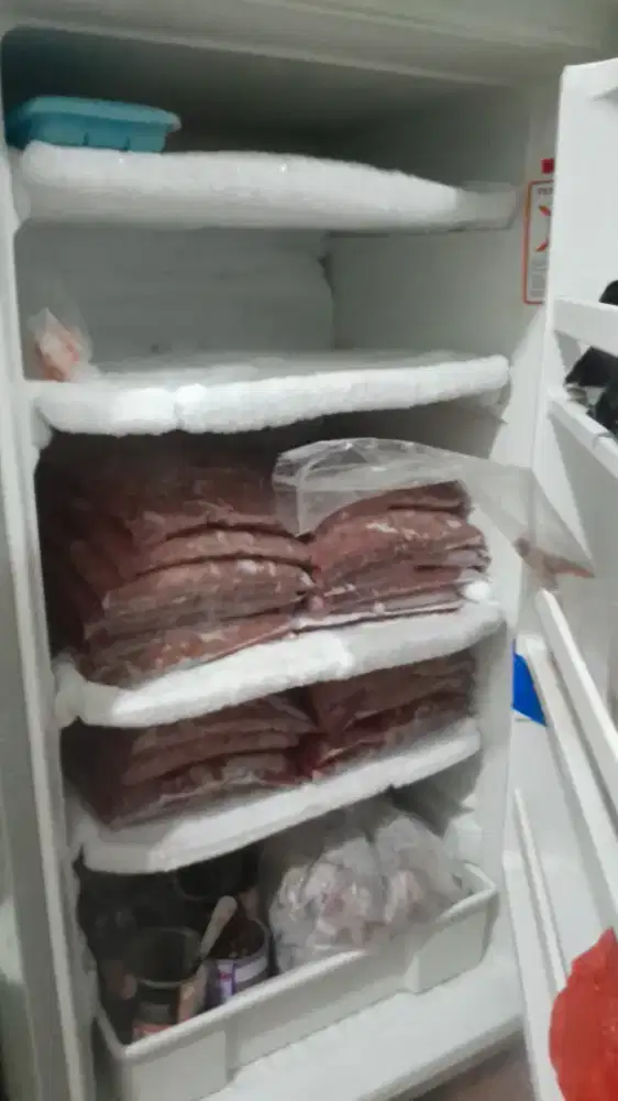 Pakan lele ,kucing & anjing