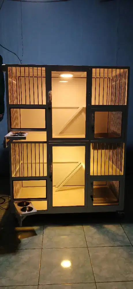 Kandang kucing lampung