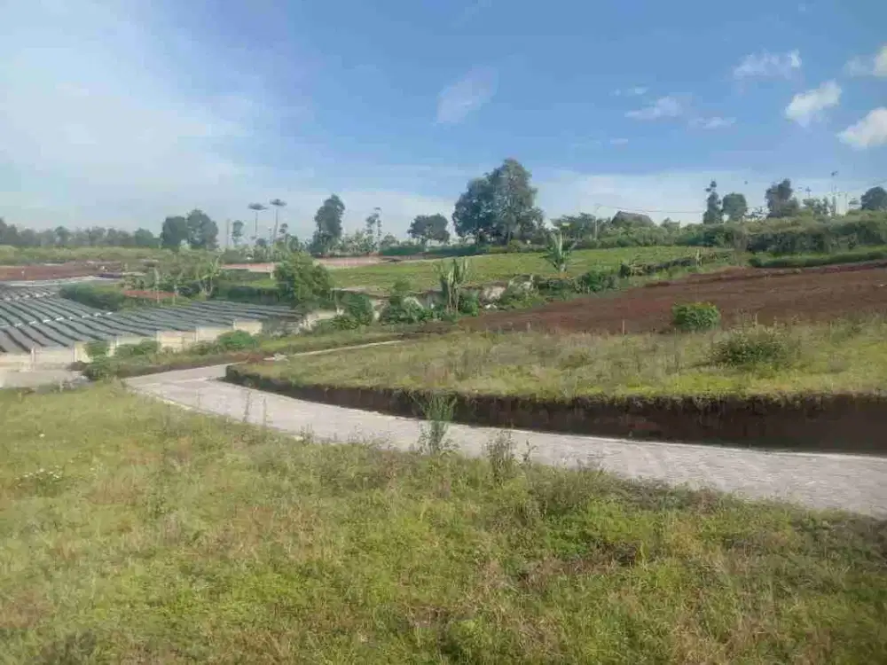 Kesempatan Langka! Tanah Harga Murah Lokasi Bagus