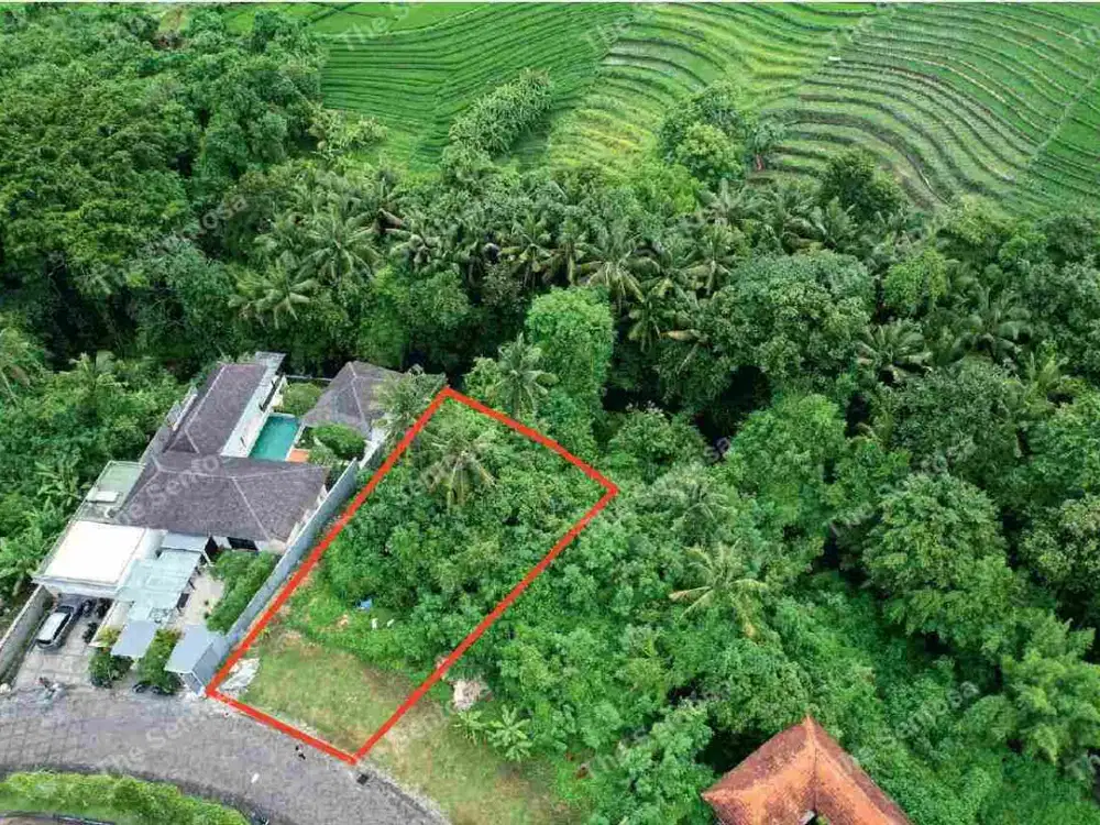 Tanah Greenlot Munggu Badung bali los sungai