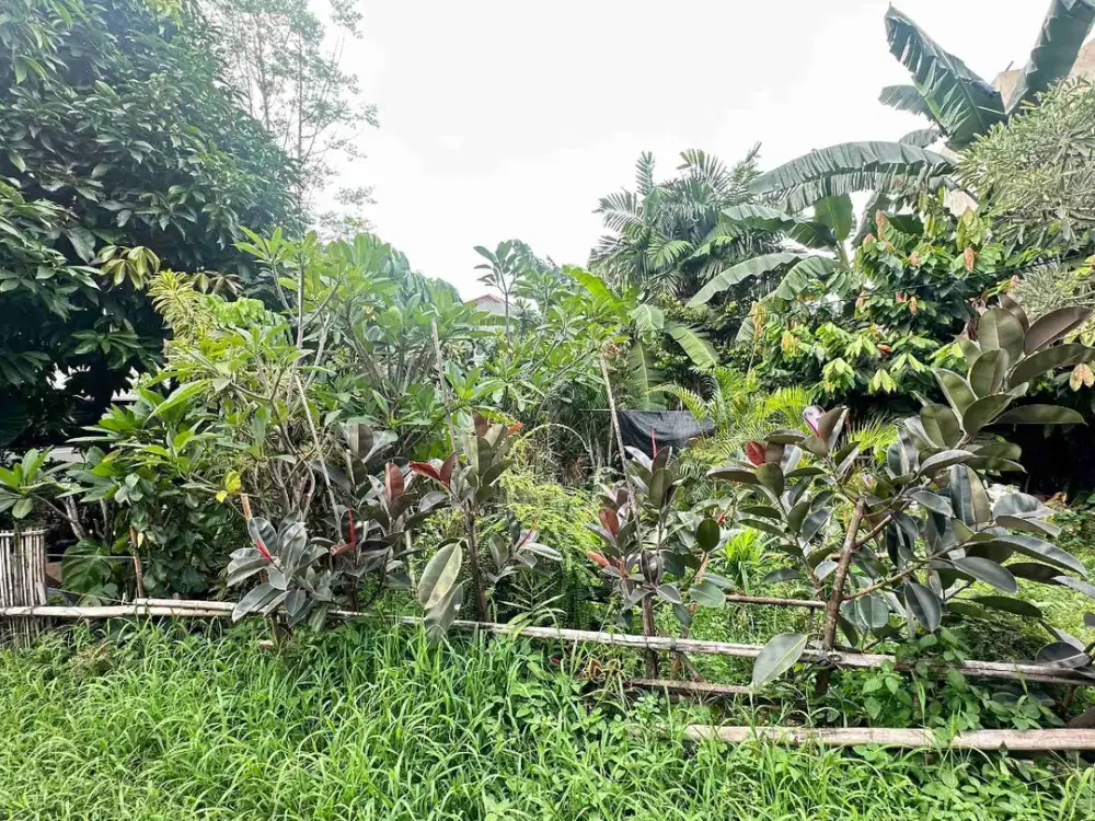 Dijual Tanah 287m Cocok Untuk Kost di Meruya, Jakbar