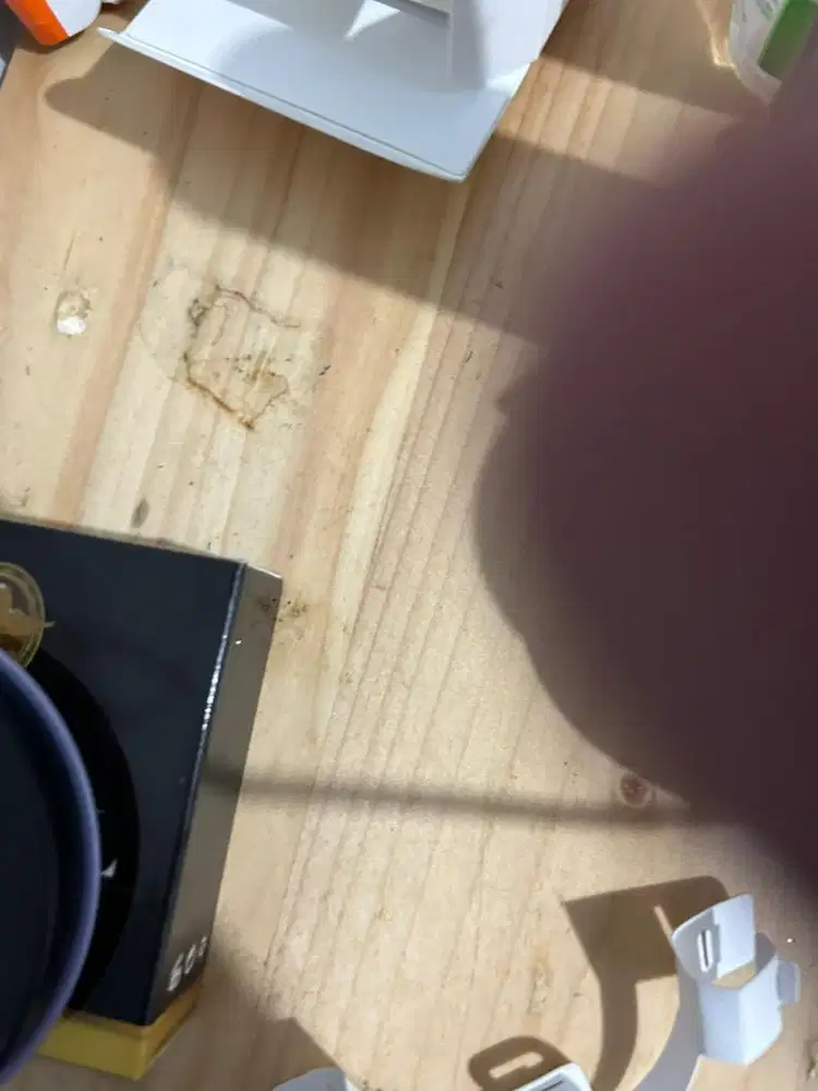 Cafe baru akan buka mencari pelayan dan tukang masak lelaki dan peremp