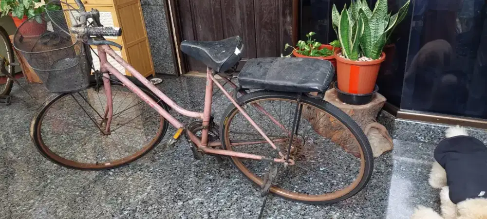 Sepeda Winner Santai