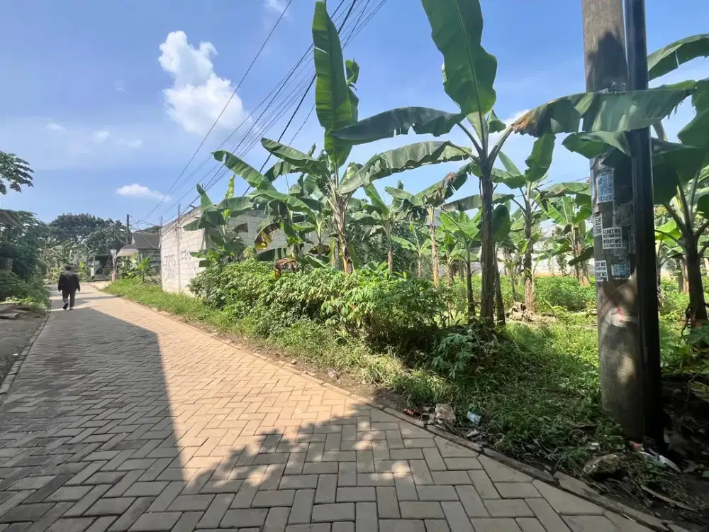 Tanah Ciater - Area Strategis BSD - 10 Menit Tol/Stasiun Rawa Buntu