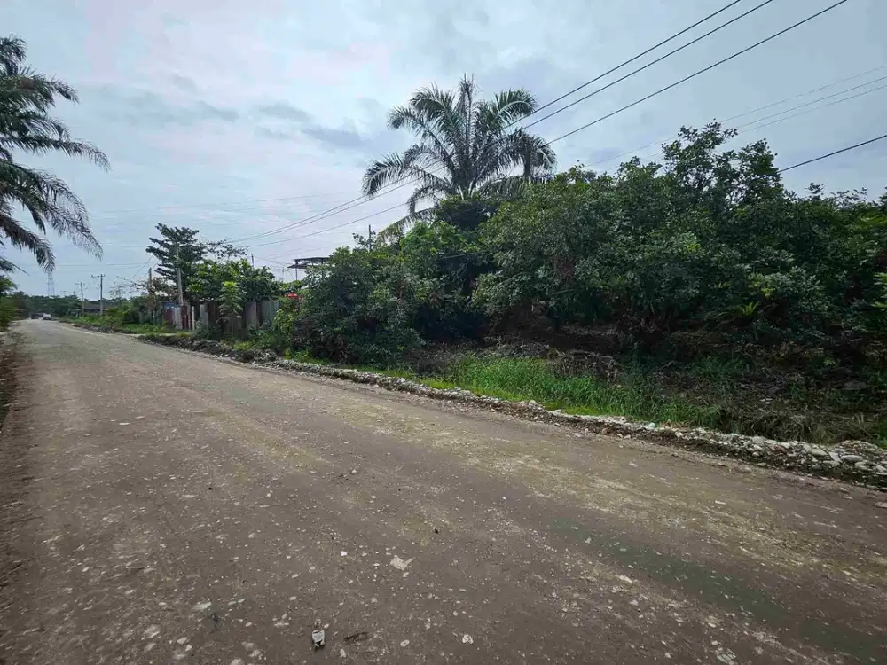 tanah 100x200 di Riau Ujung cocok untuk Pergudangan atau worksohp.