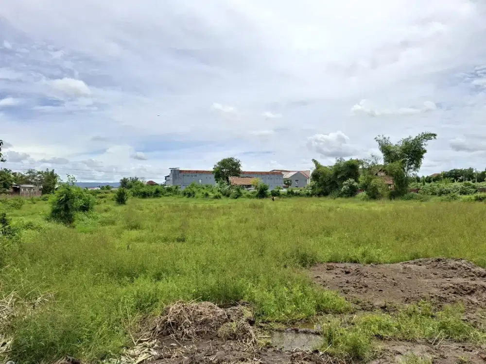 Kavling Jogja Kota Nyaman View Sawah Hijau