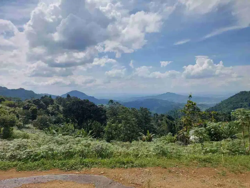 Tanah Murah 1 Hamparan Luas Area Sentul dan Puncak 2 deket Lewi Hejo View Spektakuler