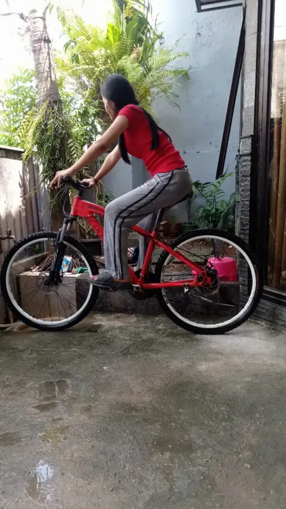 Sepeda sport dominate 011