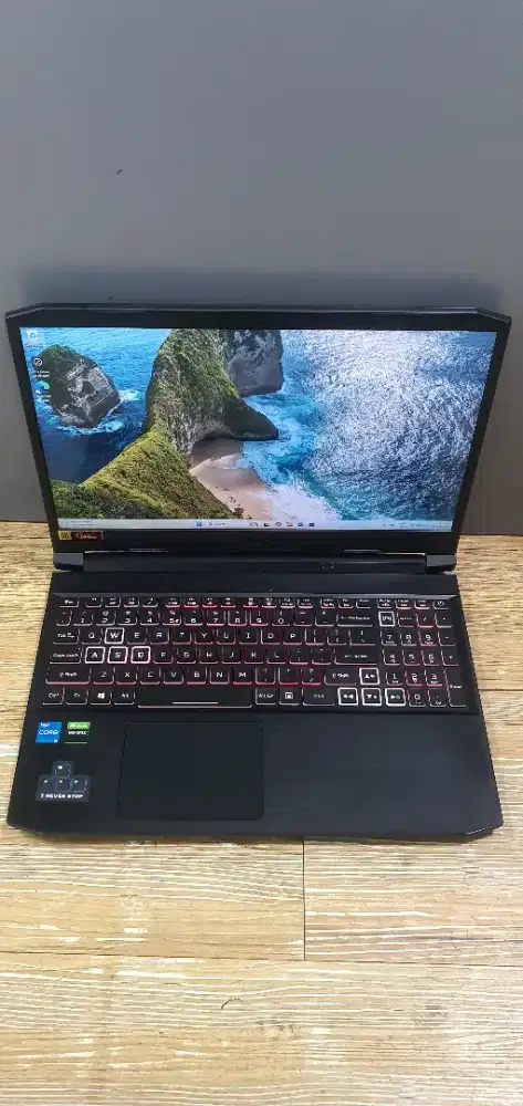 Acer nitro 5 gaming