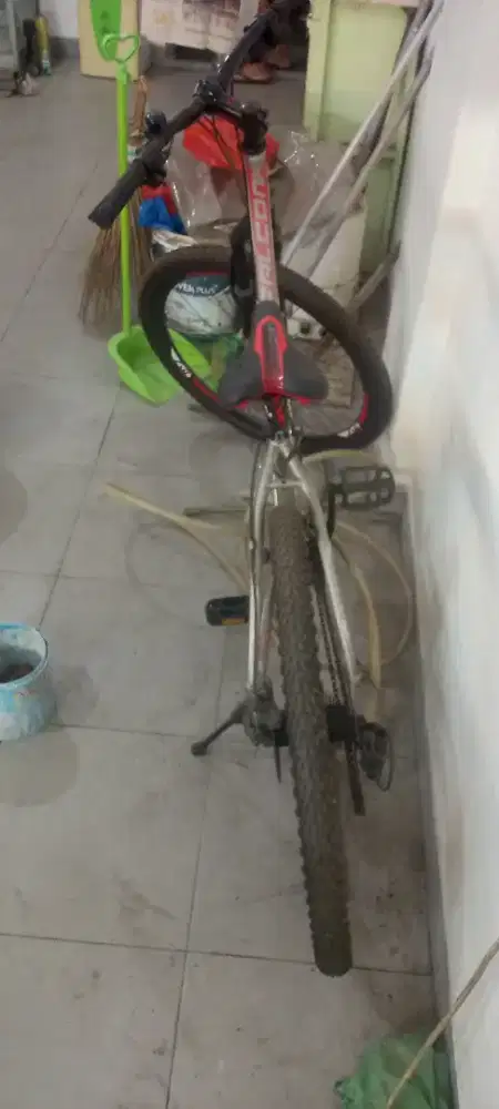 Sepeda gunung WINSCYEL