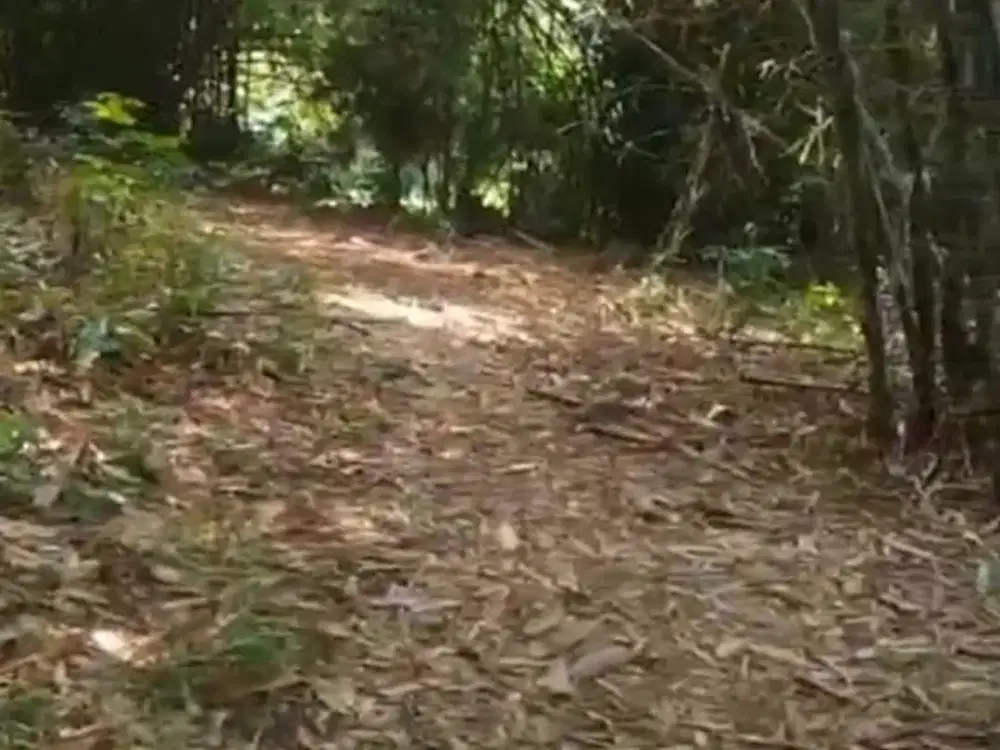 Dijual tanah kopo serang tangerang