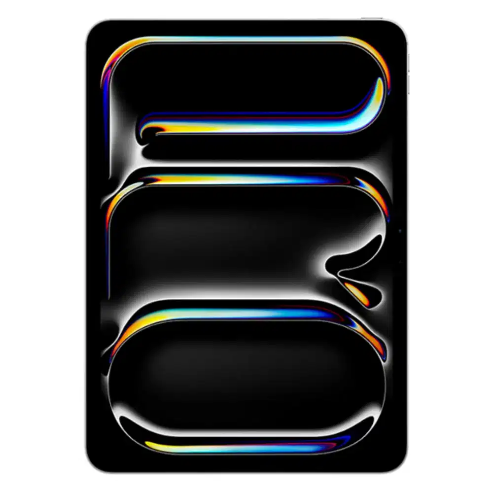 Ipad Pro 11 inci M4 256GB