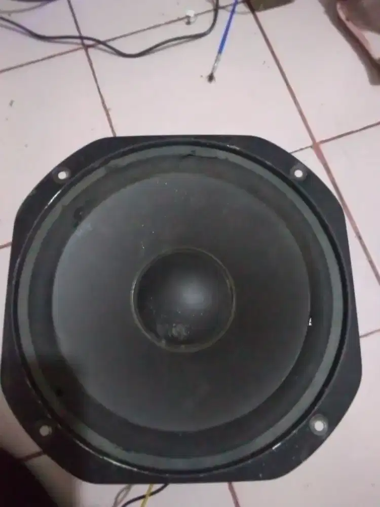 Speaker 10 inch