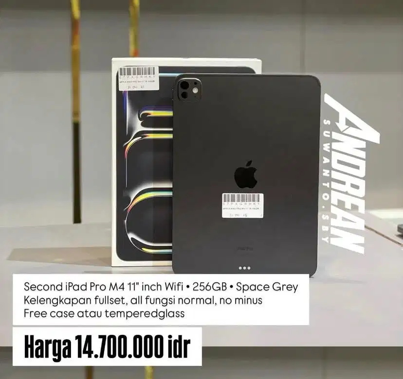 Second Ipad Pro (M4) wifi 11 inch 256 gb