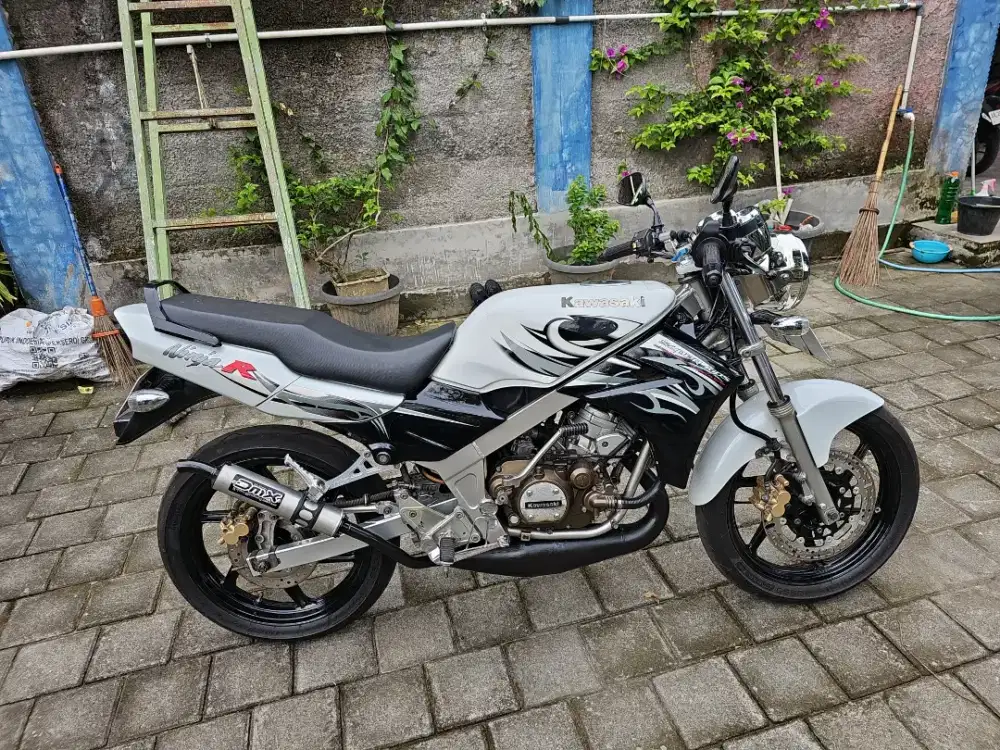 Ninja R macak SS bisa TT metic