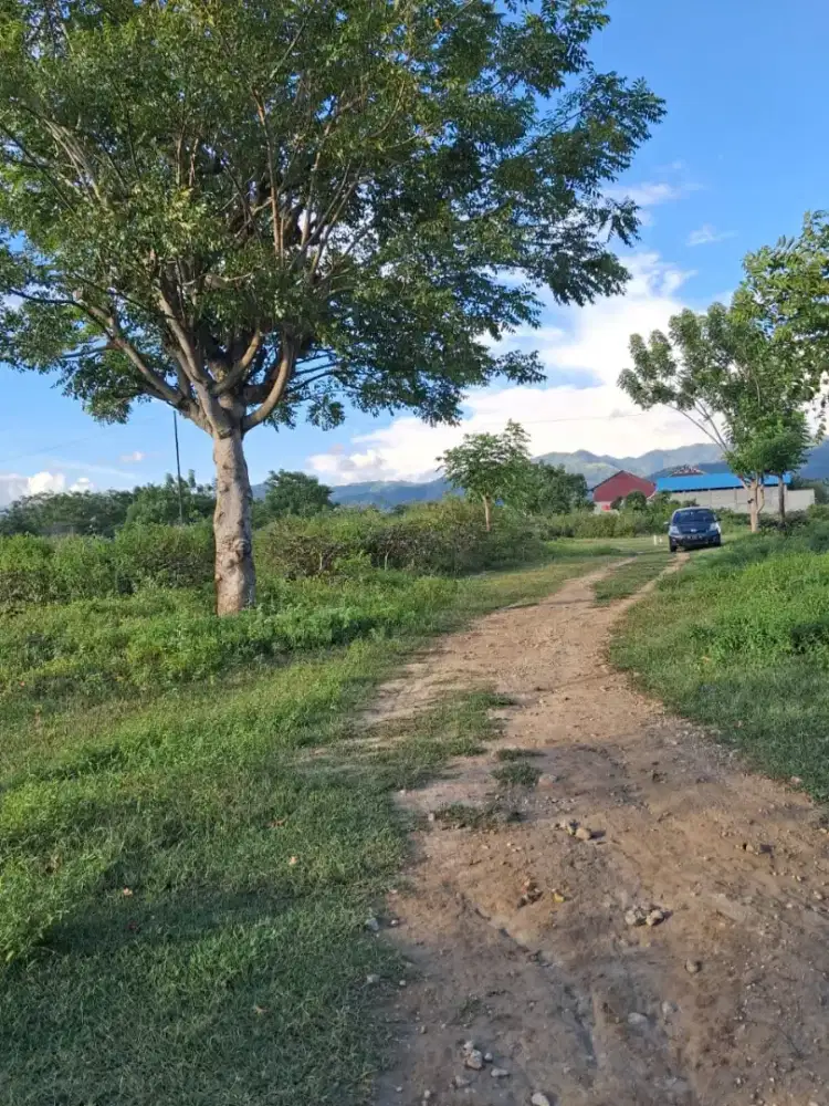 Dijual Tanah lokasi Petobo, Palu Selatan, Sulawesi Tengah