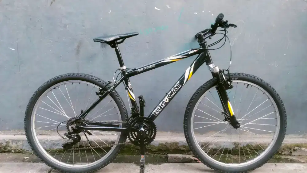 Sepeda mtb BIG CAT