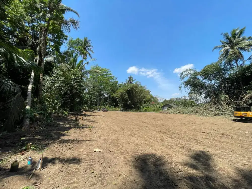 Tanah Tridadi 3 Menit Pasar Sleman Selangkah Ke Jl Raya Magelang