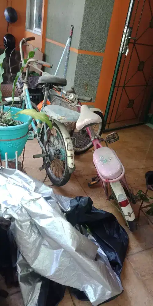 Jual sepeda anak cewe bekas