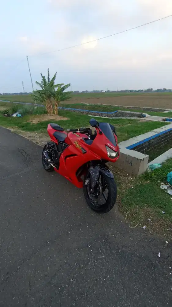 Kawasaki ninja 250R karburator