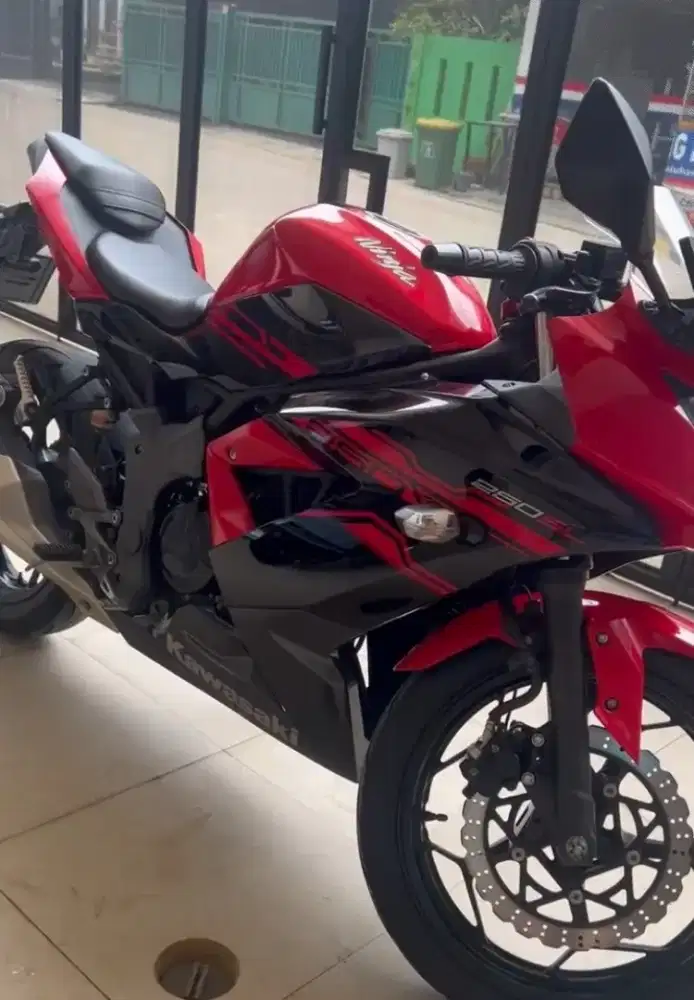 Kawasaki Ninja 250 SL Mono