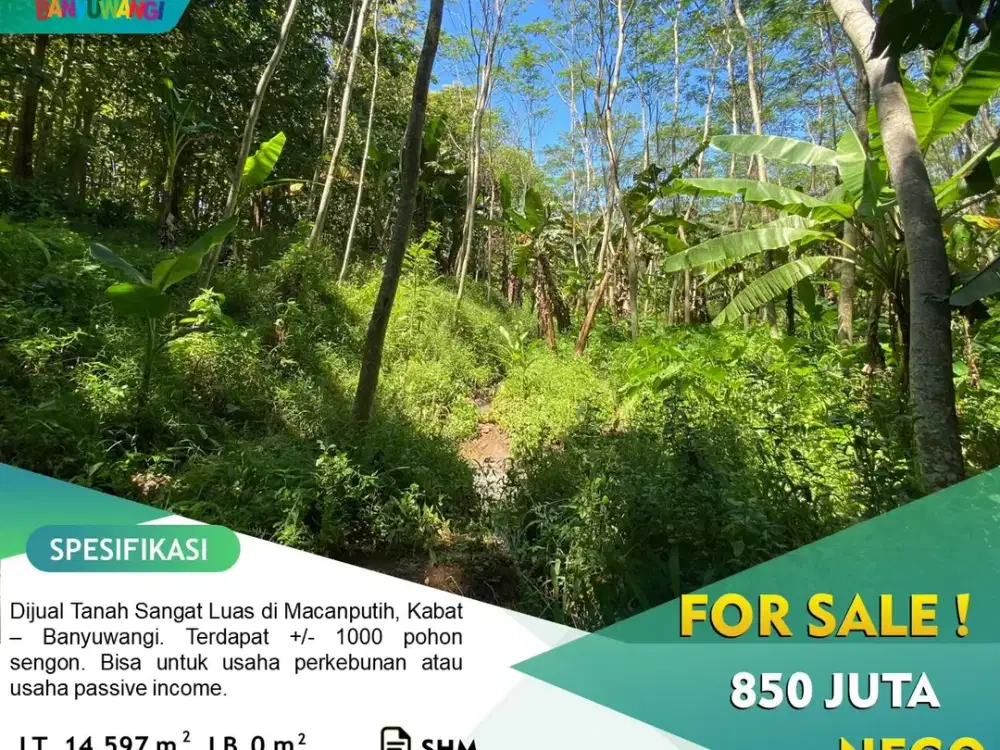 Dijual Tanah Sawah dan Kebun Luas Hampir 2 Hektar