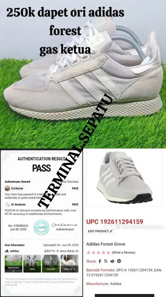 Adidas forest grove size 44
