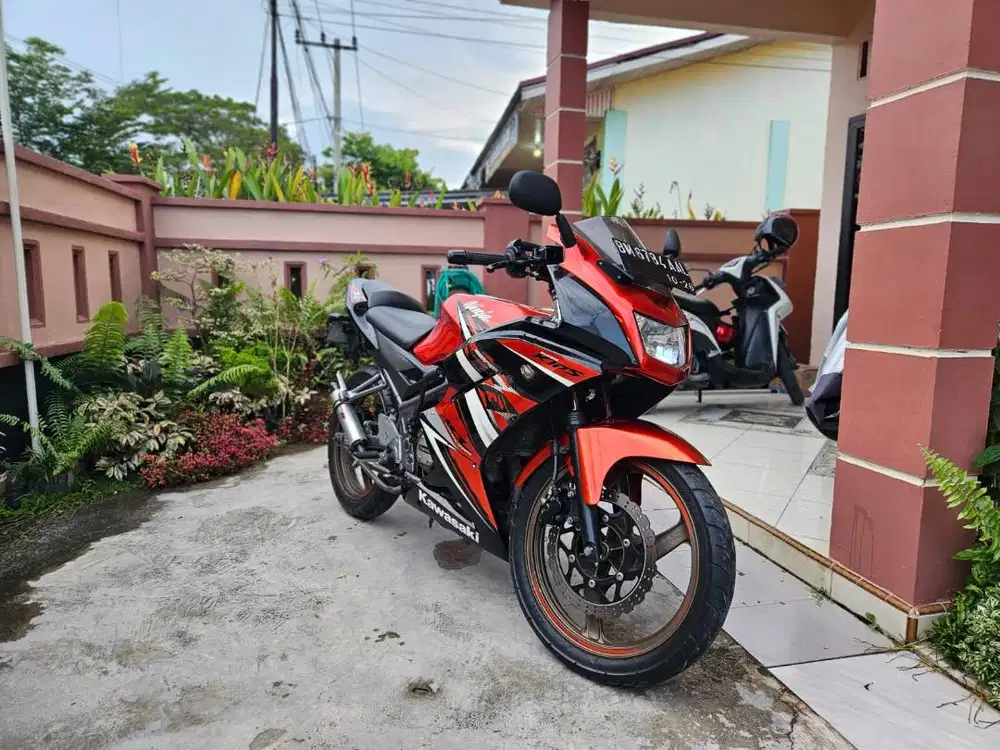 Ninja 150 RR SE