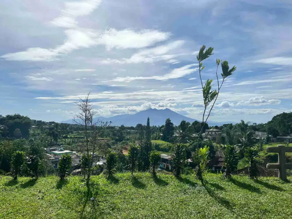 Tanah di puncak bogor luas 4500m2 dekat taman safari