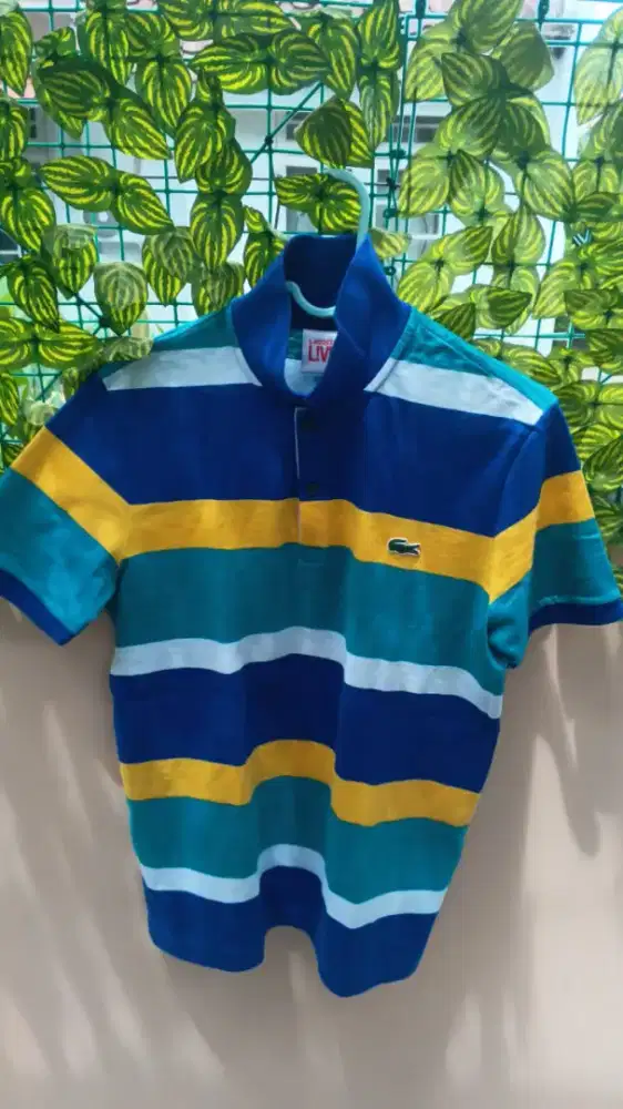 Lacoste asli 100% guarantee