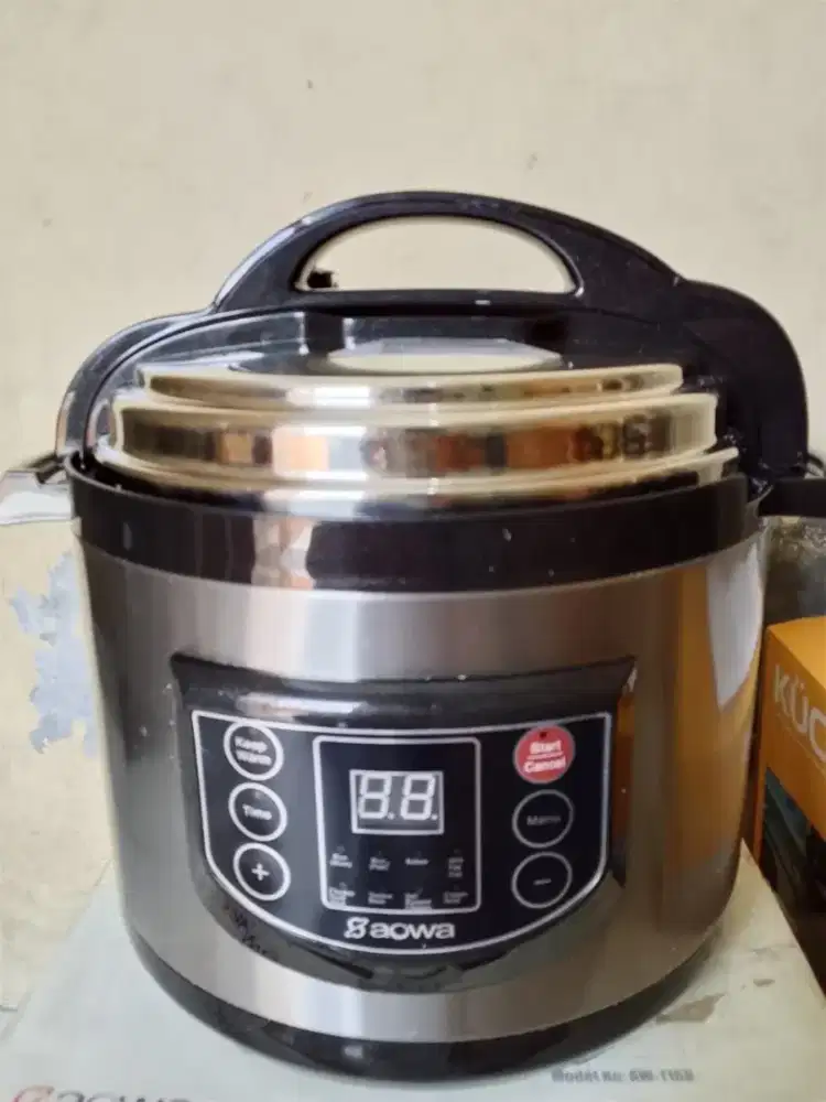 Micro computer electric pressure cooker