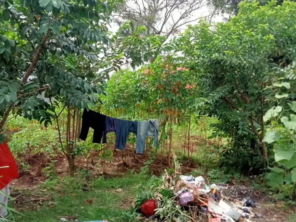 Dijual Tanah dan Kontrakan di Daerah Pasar Kemis