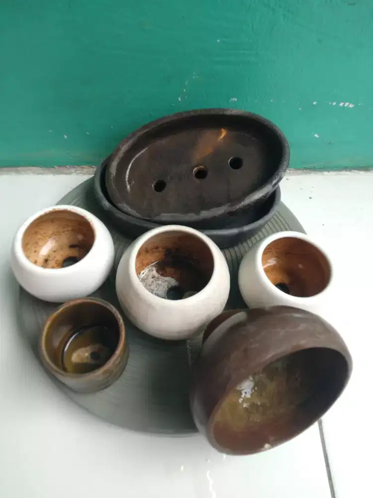 Spinner dan pot bonsai