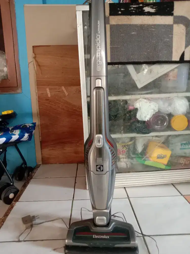 Vakum kliner Electrolux