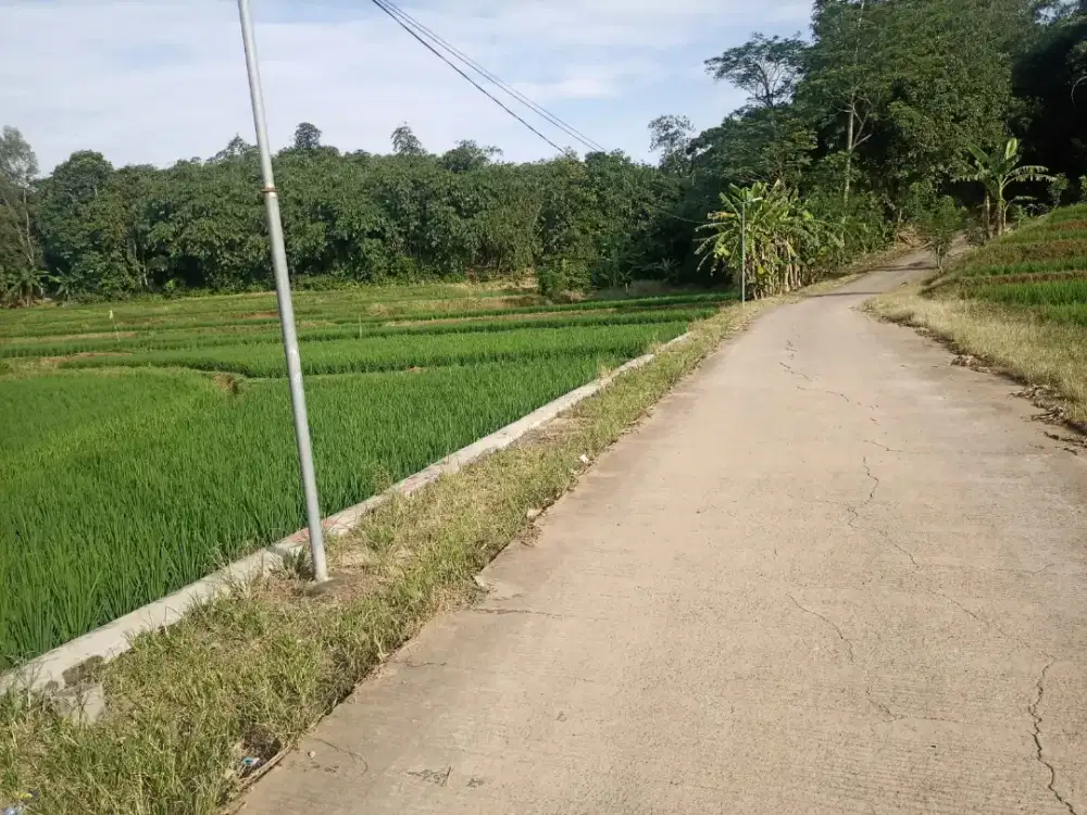 Djual Bu 7hektar 200rb nego pmeter loks pangkalan kerawang barat jabar