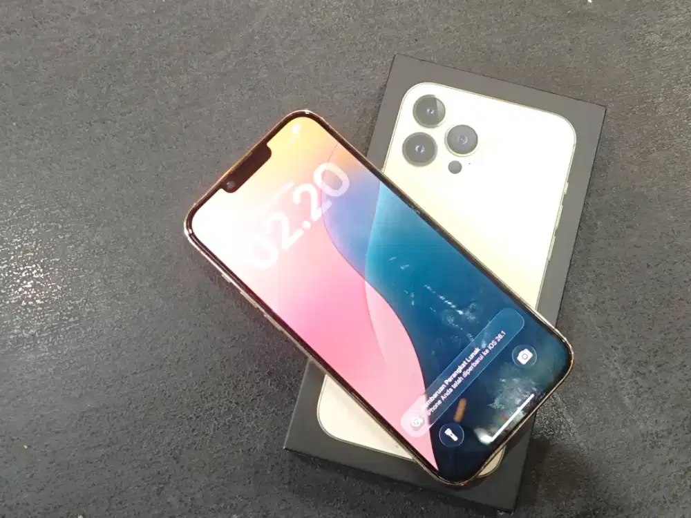 iPhone 13 Pro Max 256GB ResgistPermanent