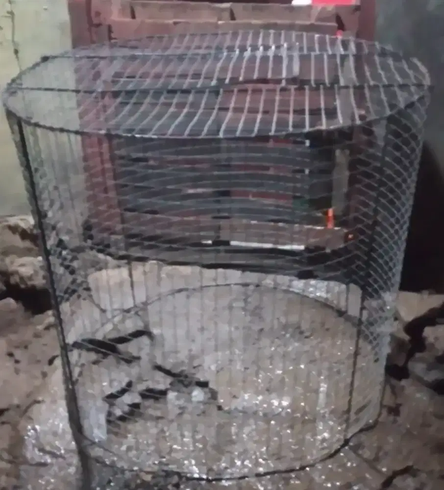 Jual dua songkok kwat anti karat ayam besar sedikit./sedang