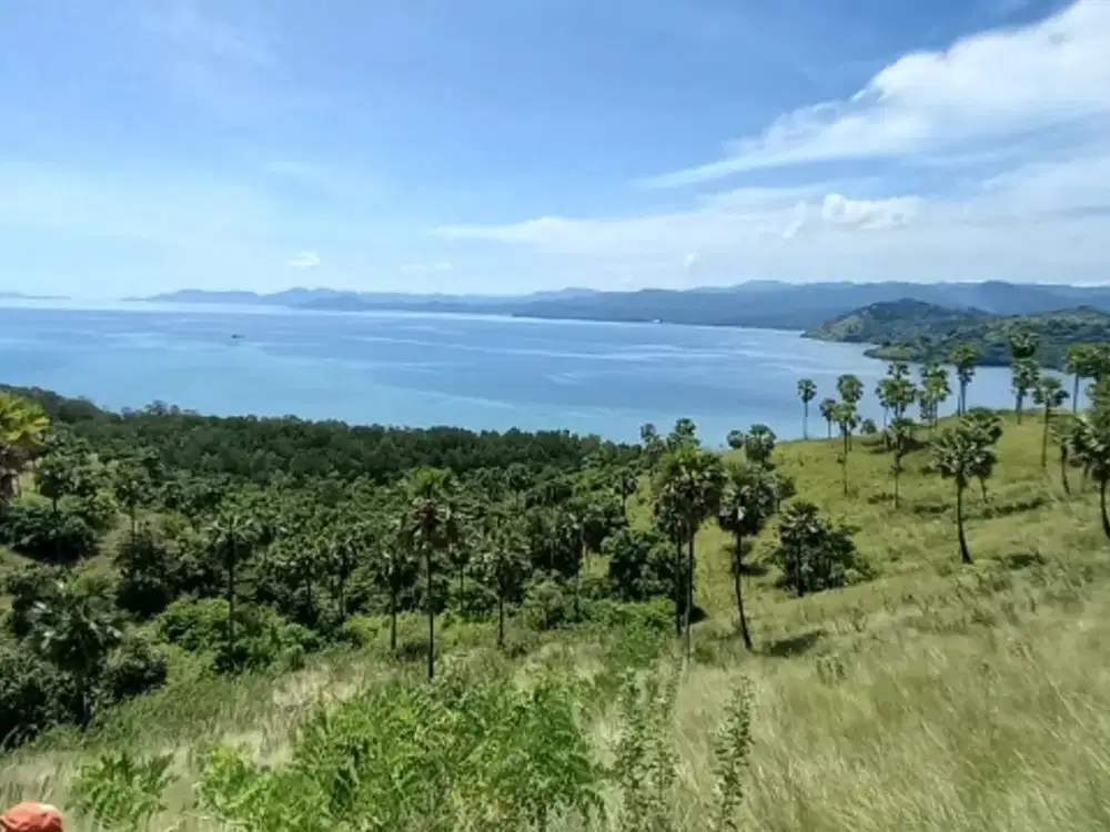 TANAH 3 HA DI TELUK WAECICU TIMUR LABUAN BAJO