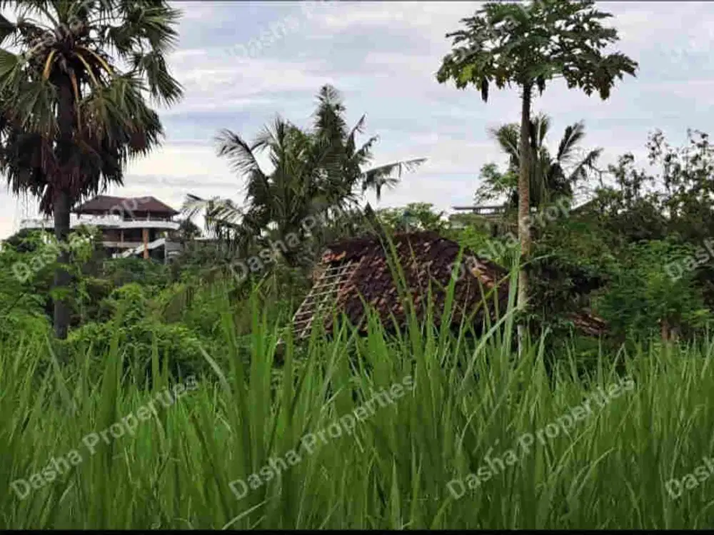 TANAH LINGKUNGAN VILLA SUMBERKIMA HILLS