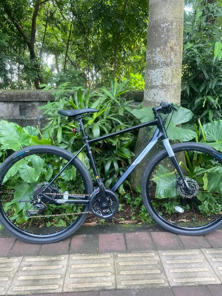 Sepeda Polygon path 3